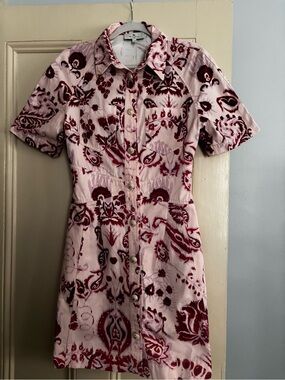 Etro Pink and Burgundy with Paisley Burnout Pattern (Mini Dress)